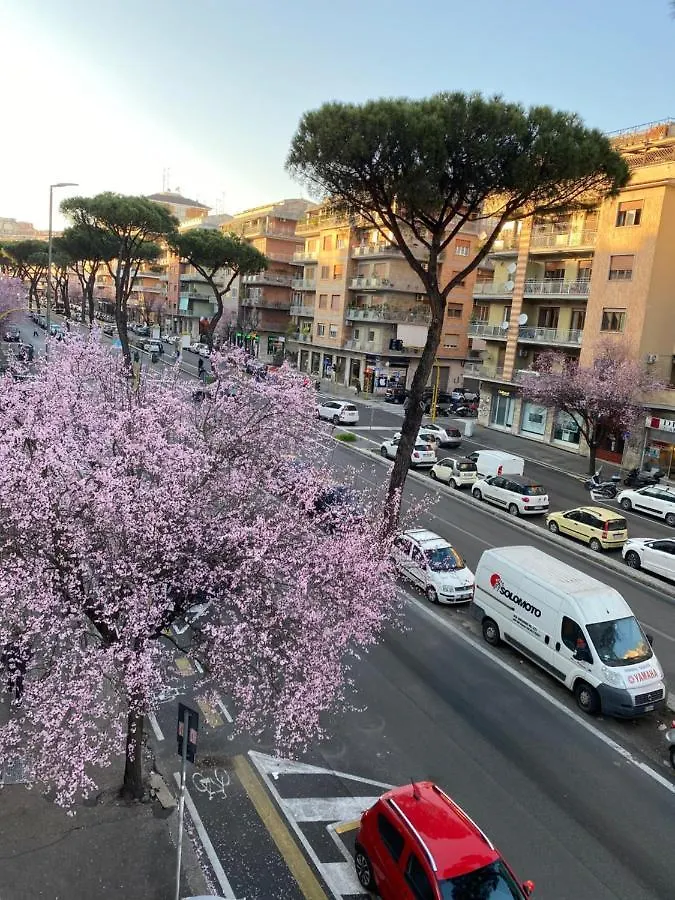 Domum Vaticani Roma